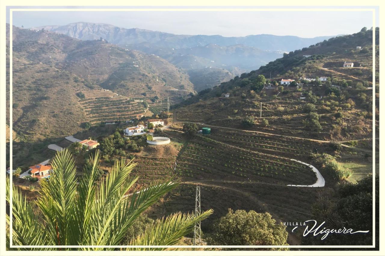 Villa La Higuera Sayalonga 외부 사진