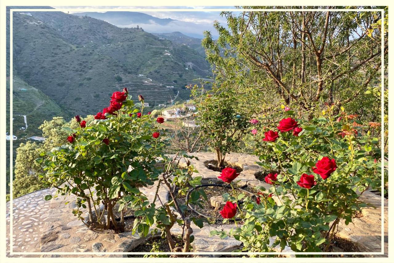 Villa La Higuera Sayalonga 외부 사진